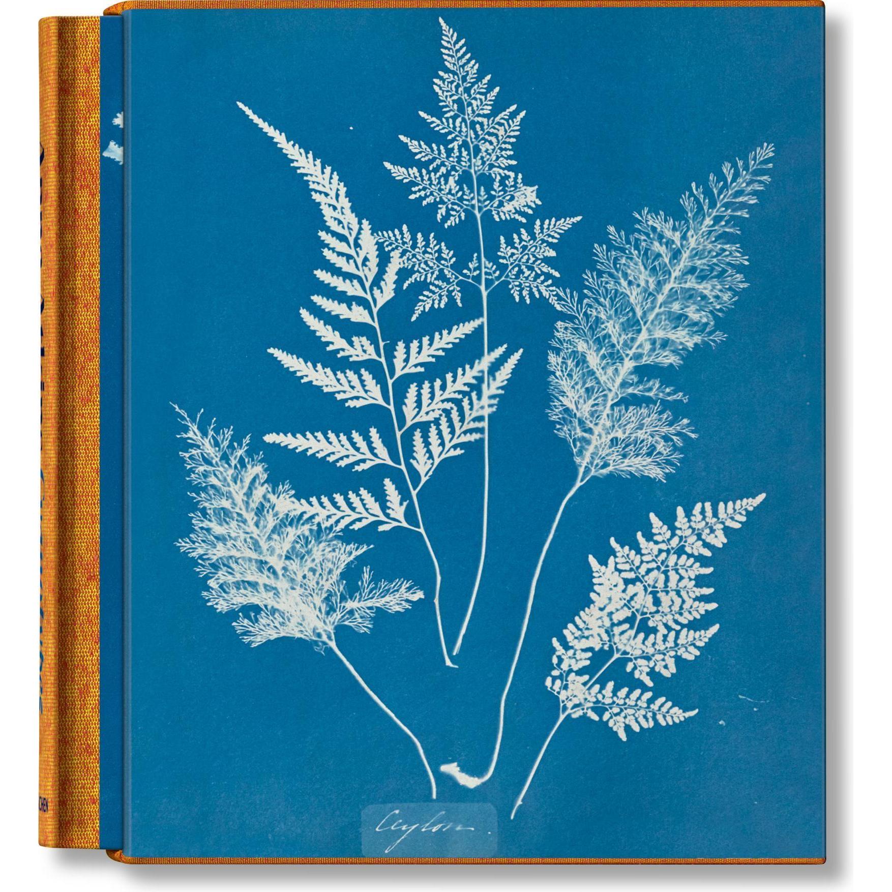 Anna Atkins. Cyanotypes, Fachbücher von Peter Walther