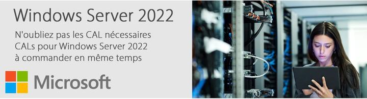 Actual product image Microsoft MS OEM Windows Server Standard 2025 64Bit 1pk DVD 16 Core (DE) (1 User, unlimited)