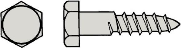 Actual product image Werkstarck Hexagon wood screws A2 DIN 571 (1 Screws per piece)