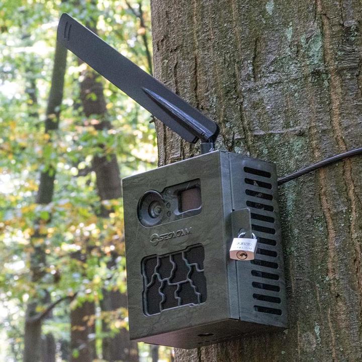 Produktbild Secacam Wildkamera, Grün-texturiert