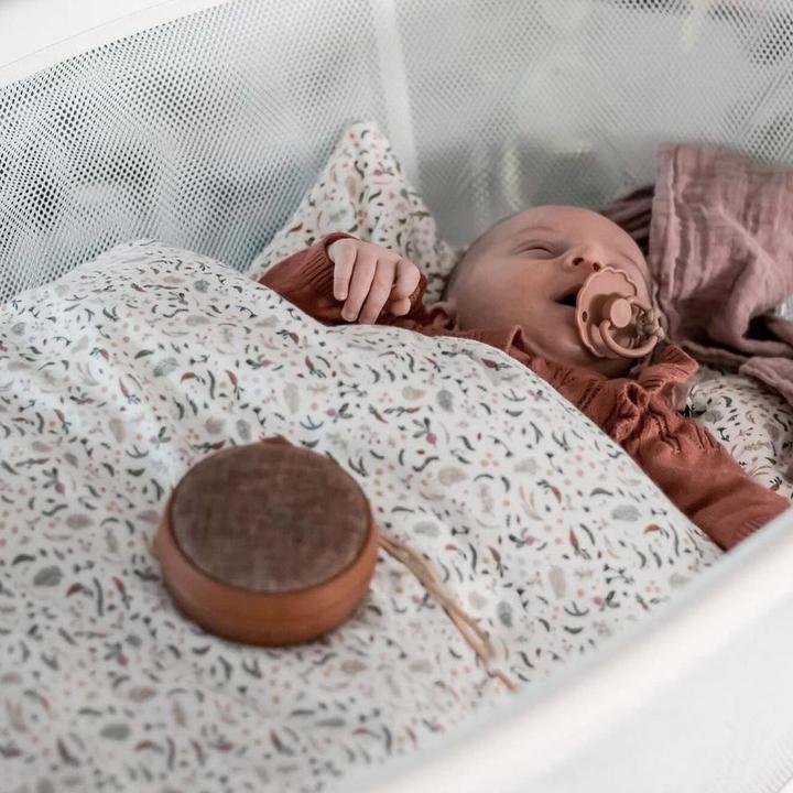 Image du produit Membantu Echo