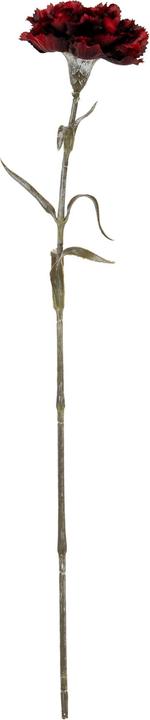 Immagine prodotto Hill Interiors Garofano Fiore Artificiale (56 cm)
