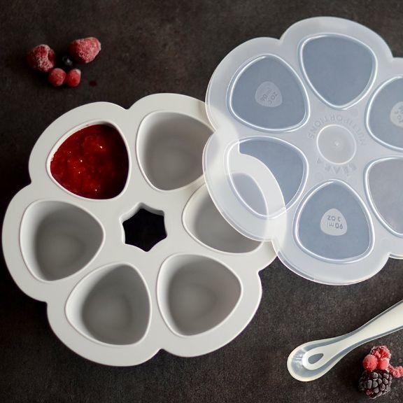 Actual product image Beaba Multi portions 6x90ml