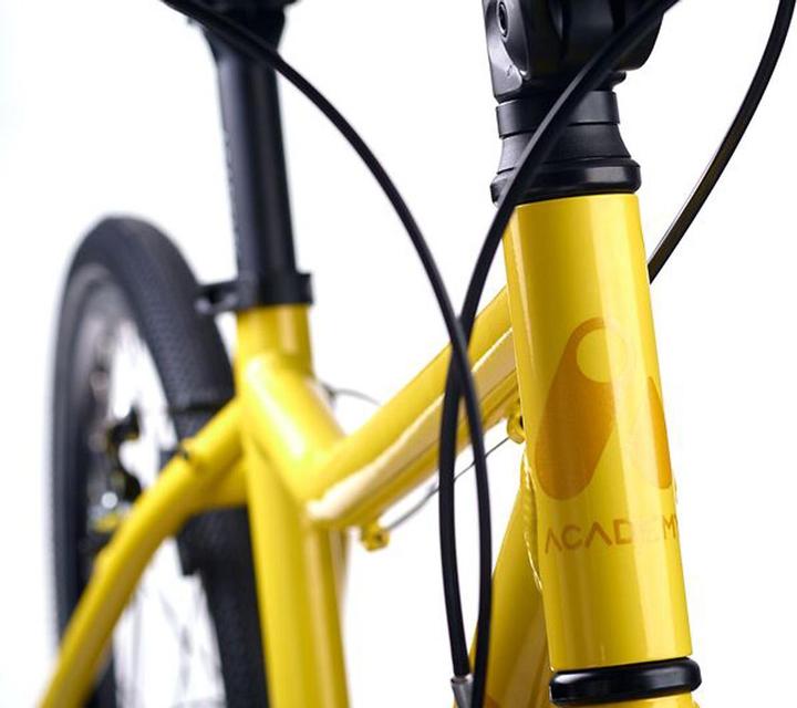 Image du produit Academy Grade 5 Belt (24")