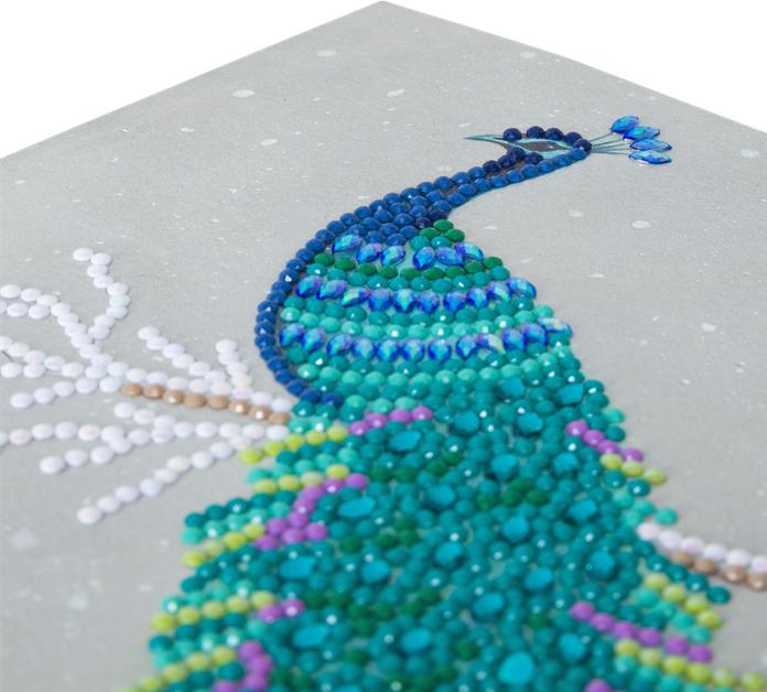 Actual product image Craft Buddy Pretty Peacock