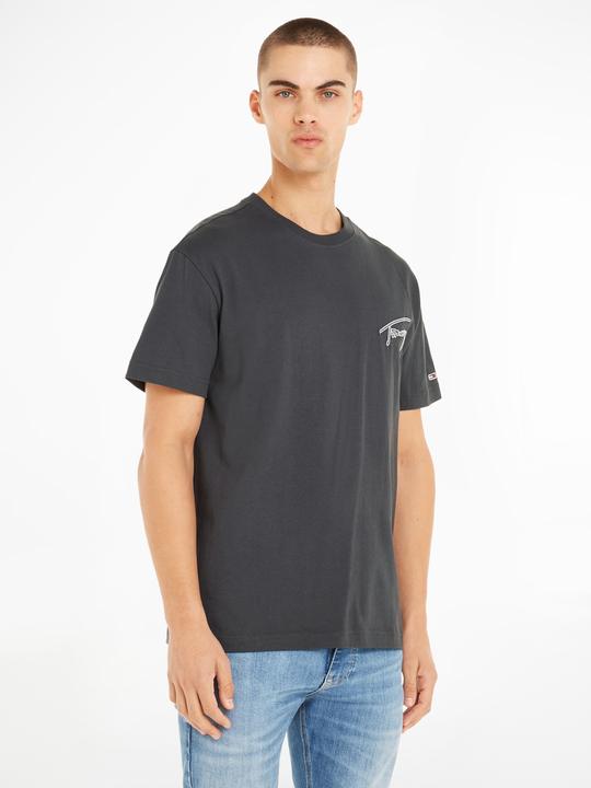 Actual product image Tommy Hilfiger TJM CLSC Signature T DM0DM16240 Pub L (L)