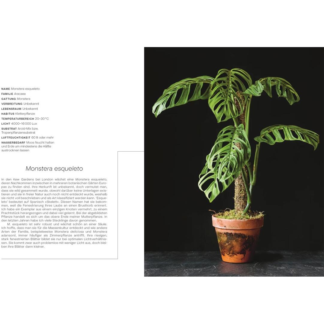 Thumbnail - Urban Jungle Style, Ratgeber von Tony Le-Britton