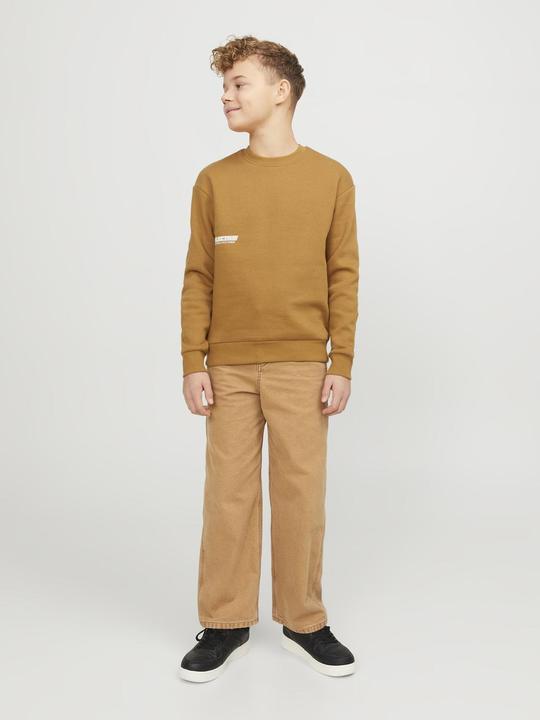 Actual product image Jack & Jones Jorcollect Edt Loose Sweat Crew Jnr (176)