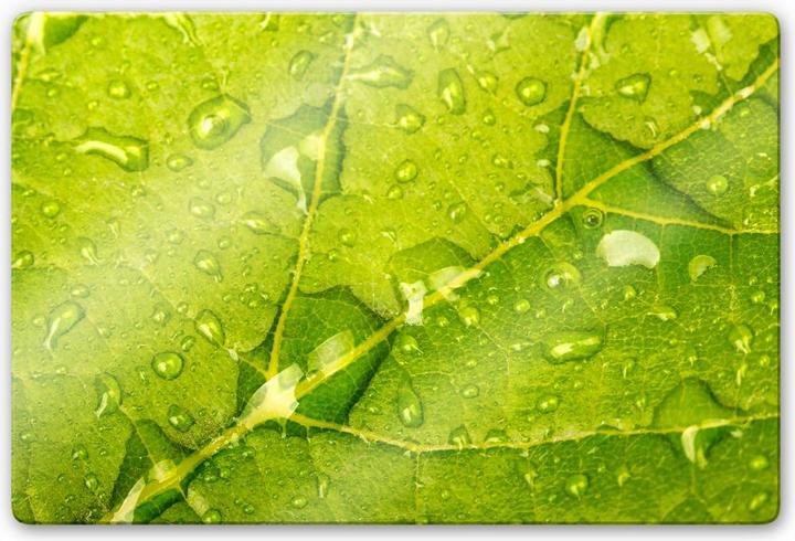 Actual product image Trenddeko Water Beads (60 x 40 cm)