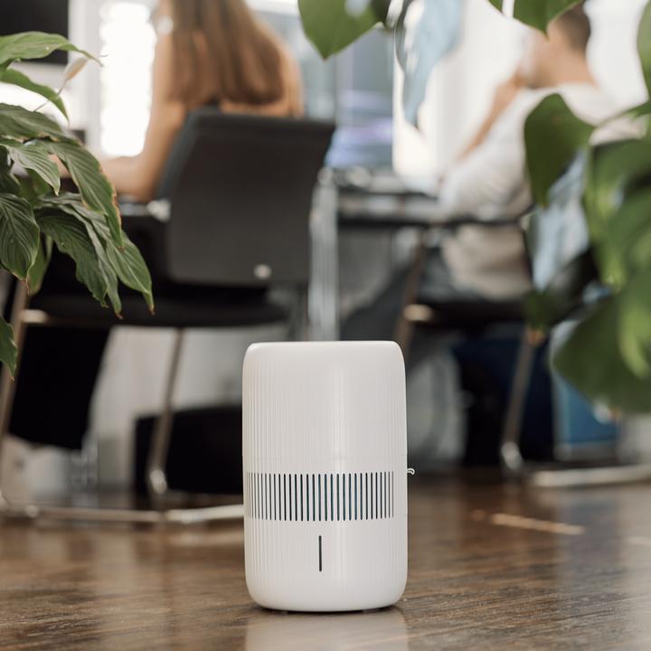 Produktbild ecofort ecoQ HumidAir E600+ (80 m²)