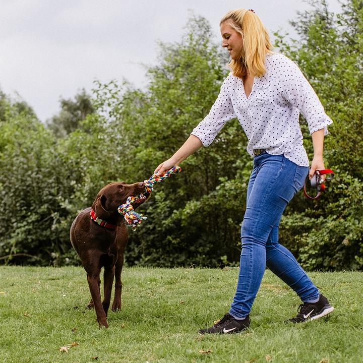 Immagine prodotto Nobby Corda annodata giocattolo per cani, doppia, multicolore (Gioco da masticare per cani)