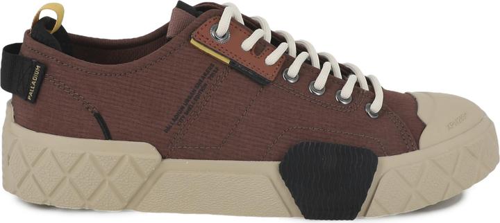 raccoon-m