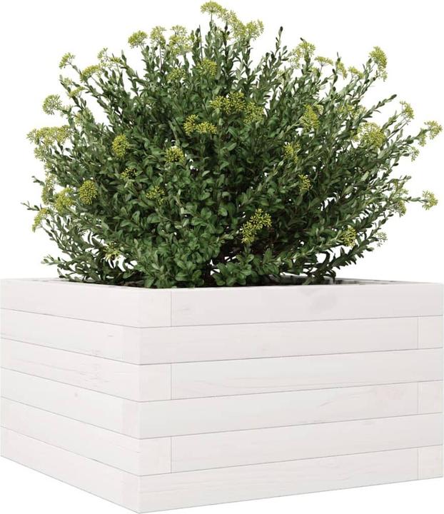 Produktbild vidaXL Pflanzgefäss