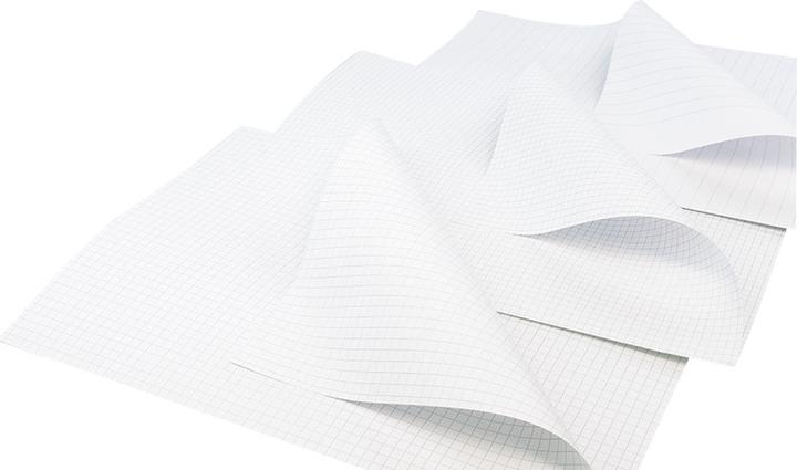 Actual product image Papyrus Writing paper A4x2 lined (Special, 250 Sheets, 90 g/m²)