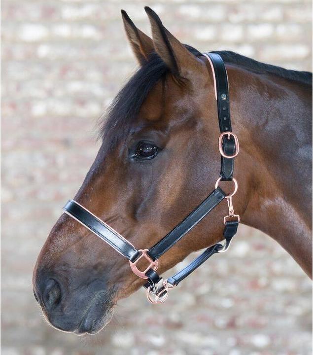 Produktbild Waldhausen Lederhalfter X-Line Rosé