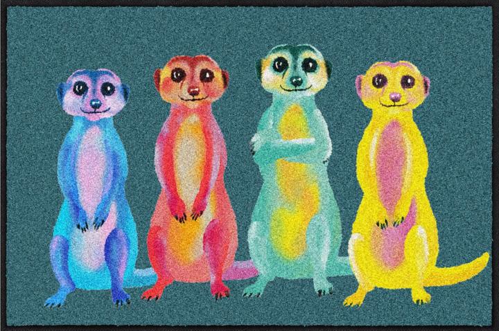 Salonloewe Rainbow Meerkats (50 x 75 cm)