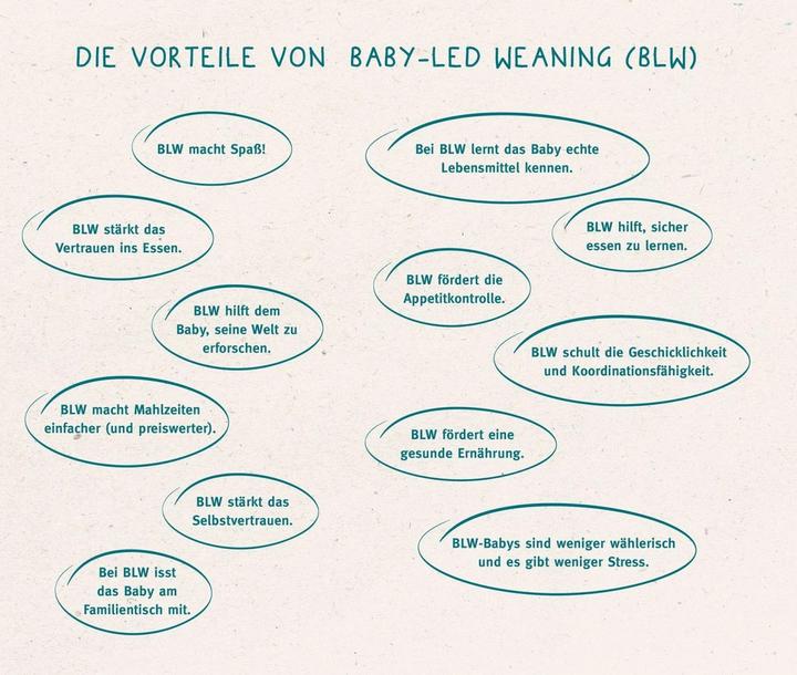 Actual product image Baby-led Weaning - Das Grundlagenbuch (German, Gill Rapley, Tracey Murkett, 2021)