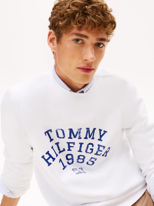Actual product image Tommy Hilfiger Hilfiger Arch Sweatshirt (M)