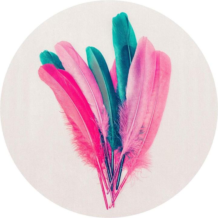 Image du produit Trenddeko Bouquet de plumes (Ø 236 cm)