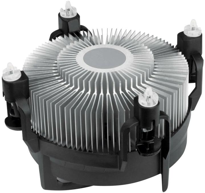 Productafbeelding Arctic Alpine 17 CO (77 mm)
