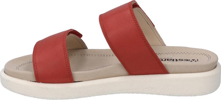 Actual product image Westland 25403-409 (42)