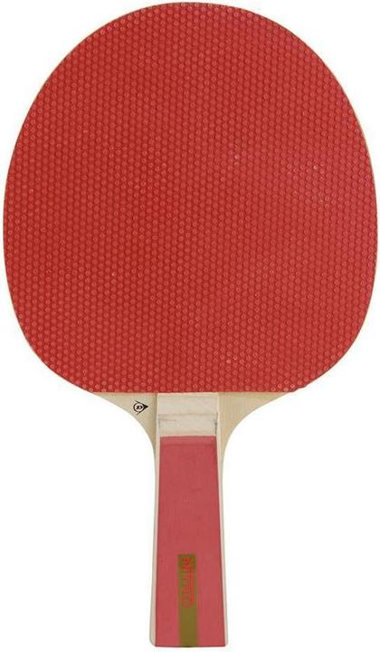 Produktbild Dunlop Nitro