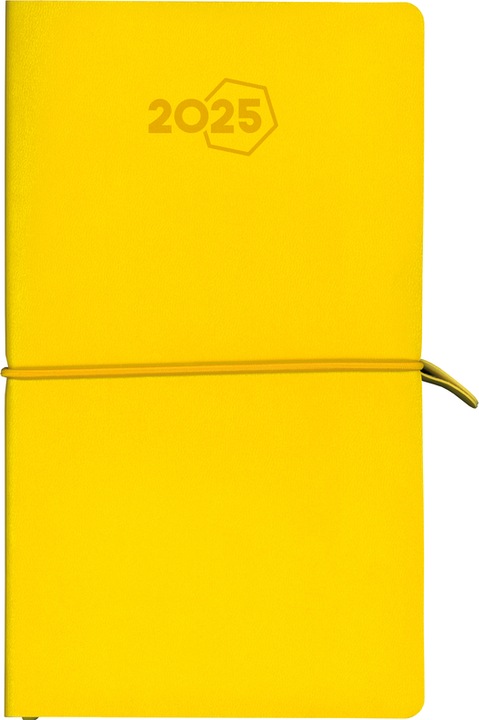 Produktbild Aurora Agenda Visuplan Tesoro 2025 2016 1W/2S ass. ML 9x16.5cm (Deutsch)