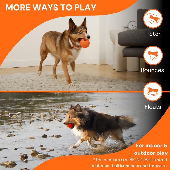 Produktbild Bionic Ball M, 13x6.1x13cm (Ballspielzeug Hund)