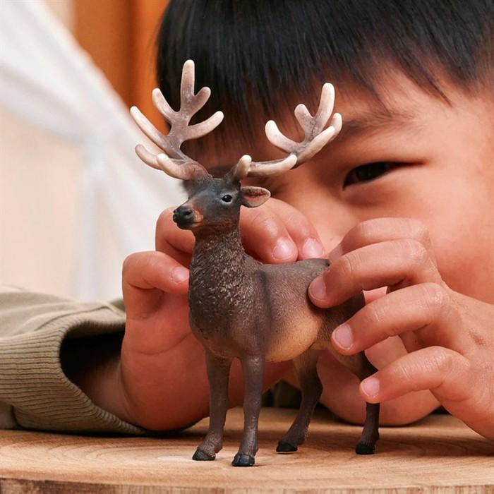 Image du produit Schleich Amerikanischer Rothirsch