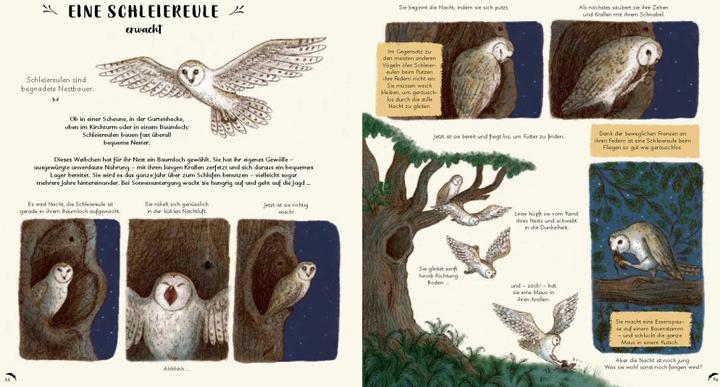 Produktbild Wunder der Natur zum Innehalten und Staunen (Deutsch, Freya Hartas, Rachel Williams, 2020)