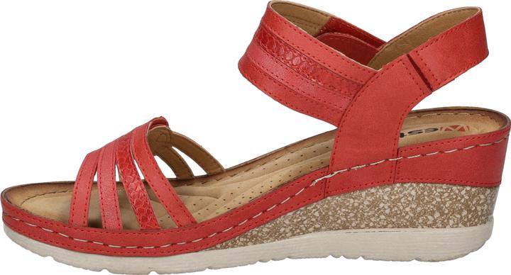 Actual product image Westland 36603-82 (40)