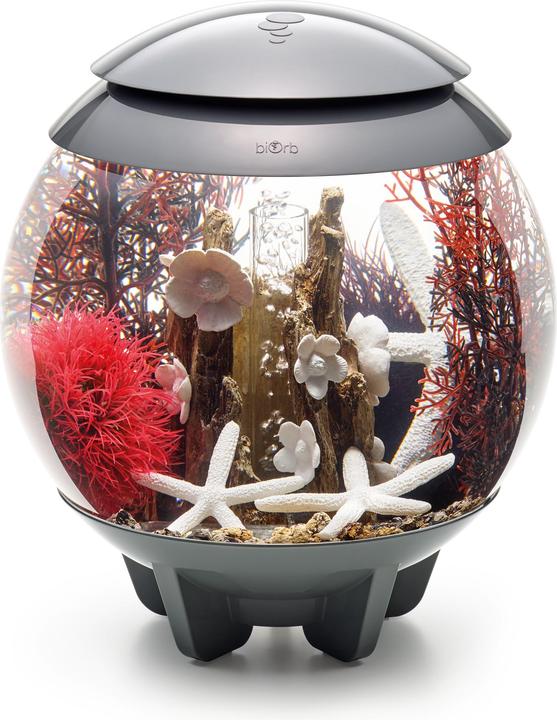 Productafbeelding Oase biOrb Aquarium 15 Decoratieset (Decoratie, Andere objecten)