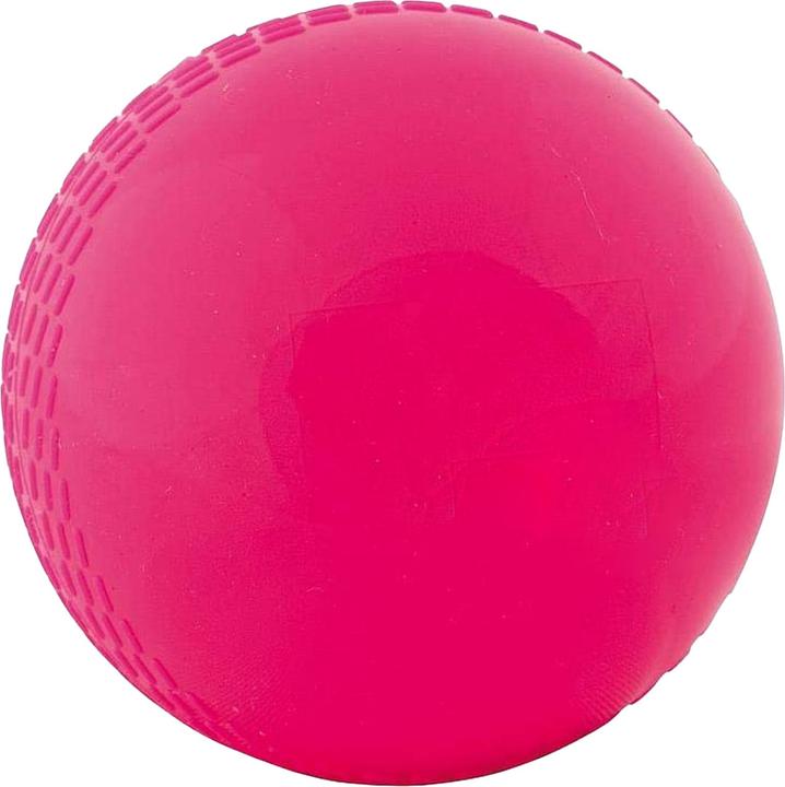 Image du produit Readers Boule à vent Balle de cricket