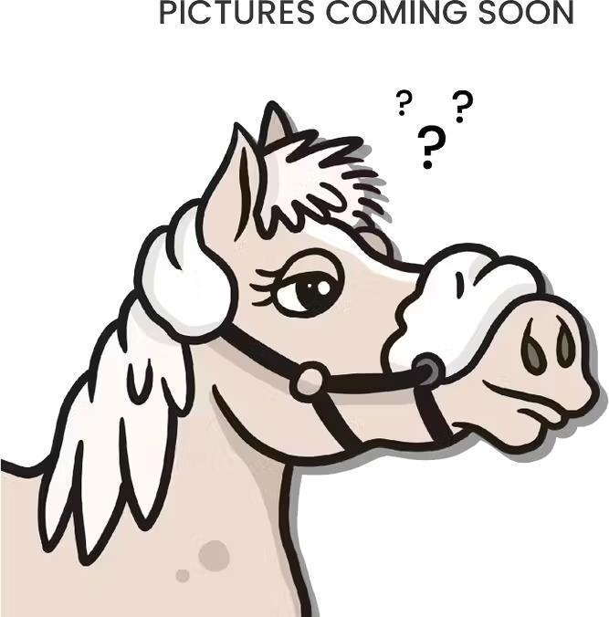Actual product image Dy'on Bridle with 2 removable attachments and chains