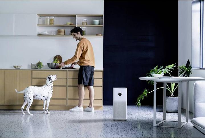Image du produit Xiaomi Smart Air Purifier 4 (48 m²)