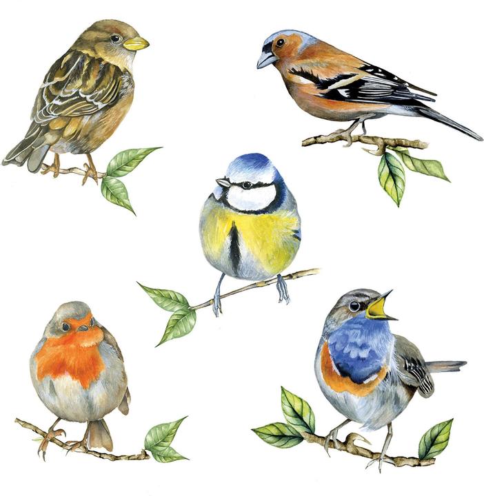 Immagine prodotto Ambiente Heimische Vögel (20 pz., 33 x 33 cm)