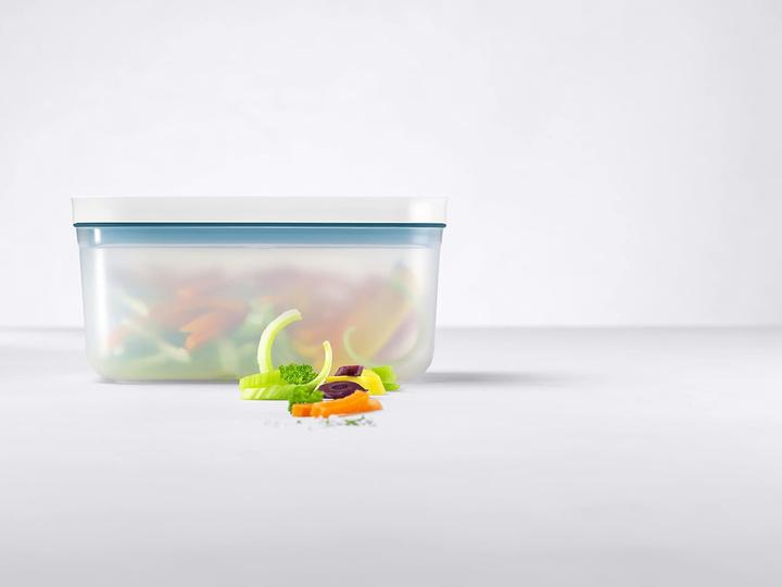 Actual product image Zwilling Plastic container Fresh & Save 1.1 LTR (1.10 l)