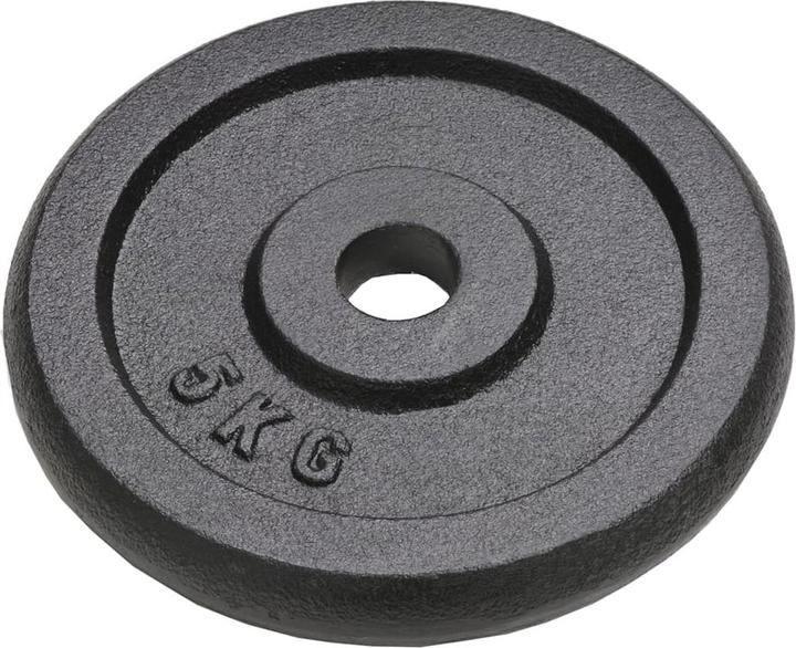 Produktbild vidaXL Hantelscheibe (4 x 5 kg)