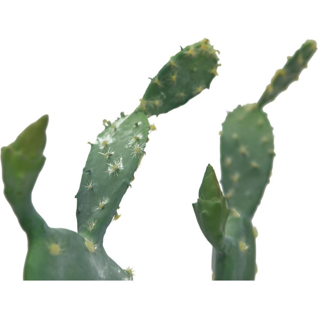 Thumbnail - Europalms, Kunstpflanzen, Blätterkaktus, Kunstpflanze, 76cm (76 cm)