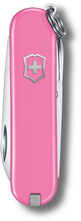 Produktbild Victorinox Cellidor