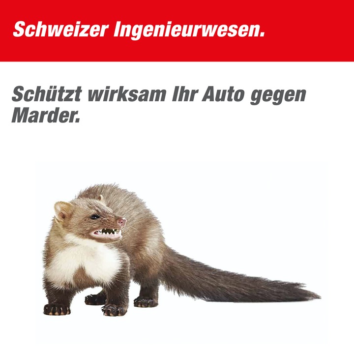 Actual product image Swissinno Marder-Stop KFZ 12DC