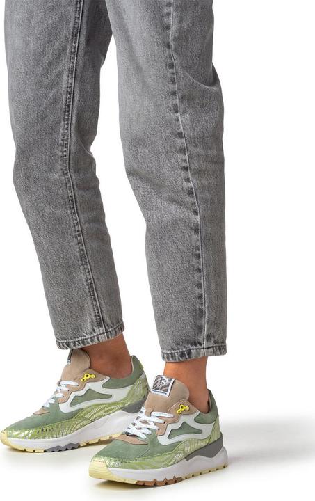 Image du produit Floris van Bommel Treni 01.00 (37.5)