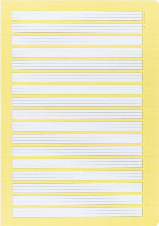 Actual product image Oxford Exercise book, A4, ruling 2 (A4)