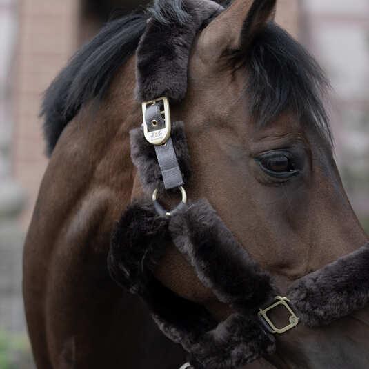 Produktbild B Vertigo Tremblant