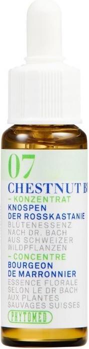Actual product image Phytomed Bachblüten No7 Knospen der Rosskastanie (1 Piece, Droplet, 24 g)