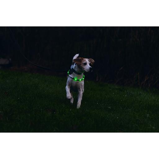 Thumbnail - Beeztees Bz Sg Sil Halsb+Usb Dogini Gn (Hund, Allgemein), Halsband + Leine