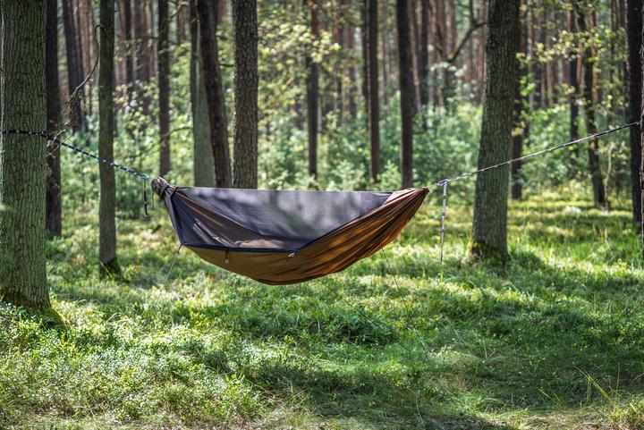Actual product image Lesovik Draka
