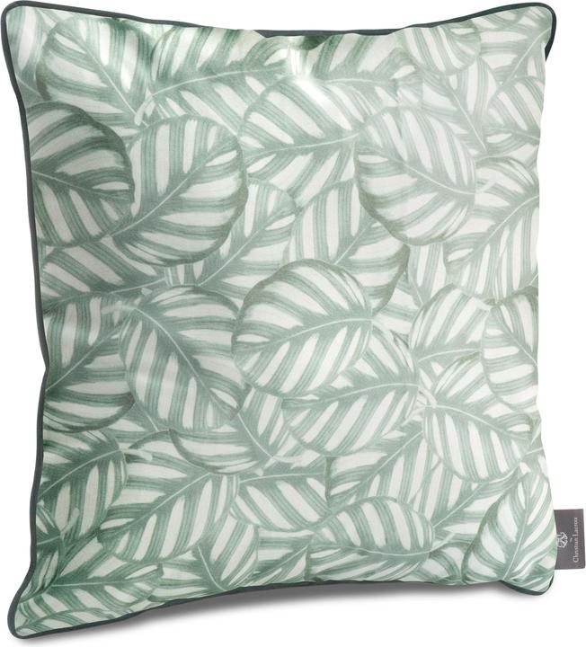 Produktbild CXL by Christian Lacroix Leaves (50 x 50 cm)