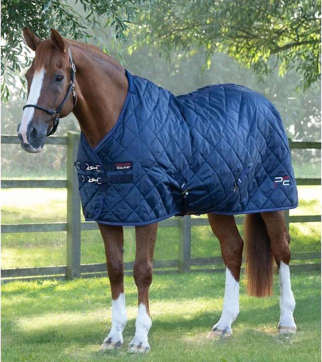 Immagine prodotto Premier Equine Tuscan 200 g (168 cm)