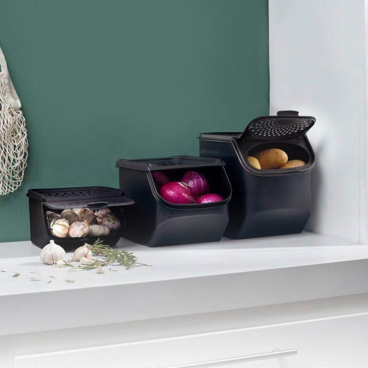 Actual product image Tupperware Garlic Smart (2.30 l)